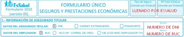 formulario 1010 sección 1 llenado